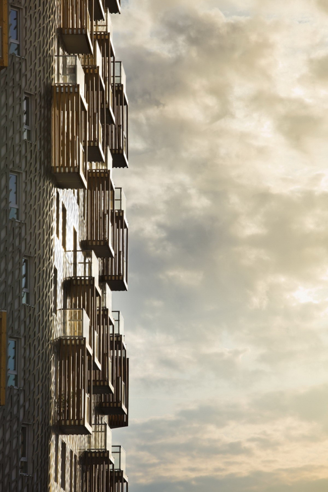 ����� ��� Cardinet Quintessence � Sergio Grazia