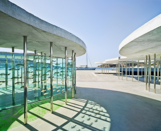 �������� �������� �������� � ����� ��������� � David Frutos