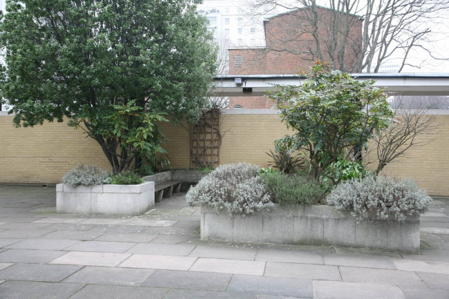 ���������� ������� �����. ���� � ���� �������