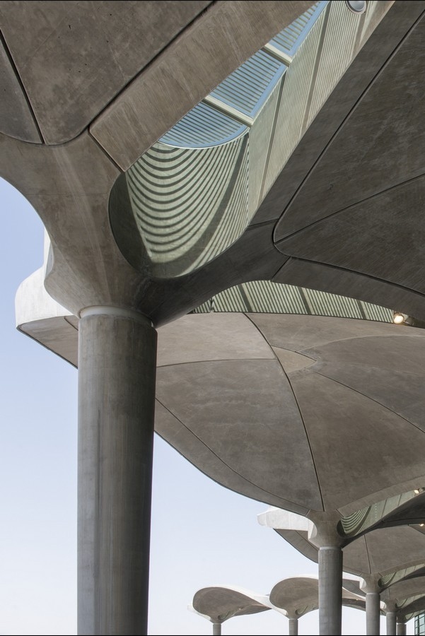 ������������� �������� ��. �������� ���� � Nigel Young - Foster + Partners