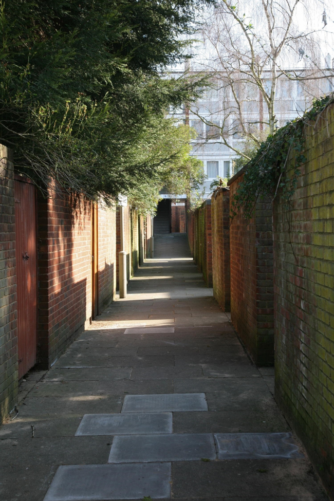 ����� �����. ���� � ���� �������