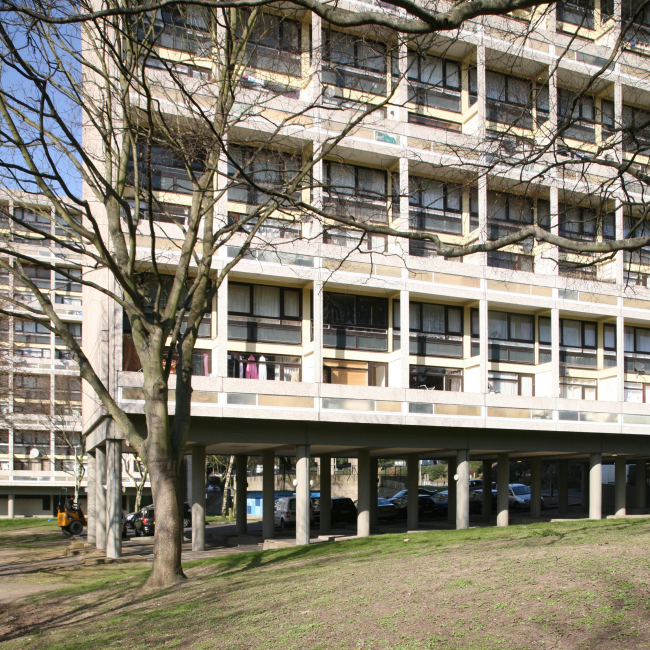 ����� �����. ���� � ���� �������