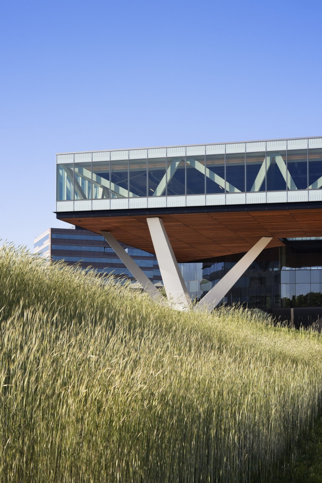 ������� ������ Centra Metropark � Michael Moran