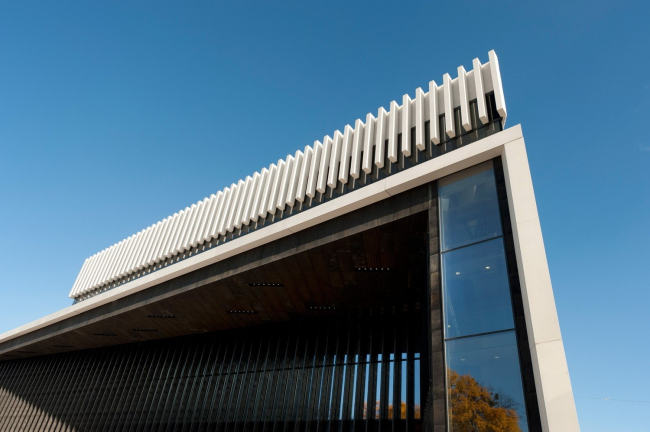 ����������� ����� � �����. ���� � Sigrid Rauchdobler