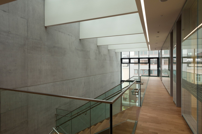 ����������� ����� � �����. ���� � Sigrid Rauchdobler