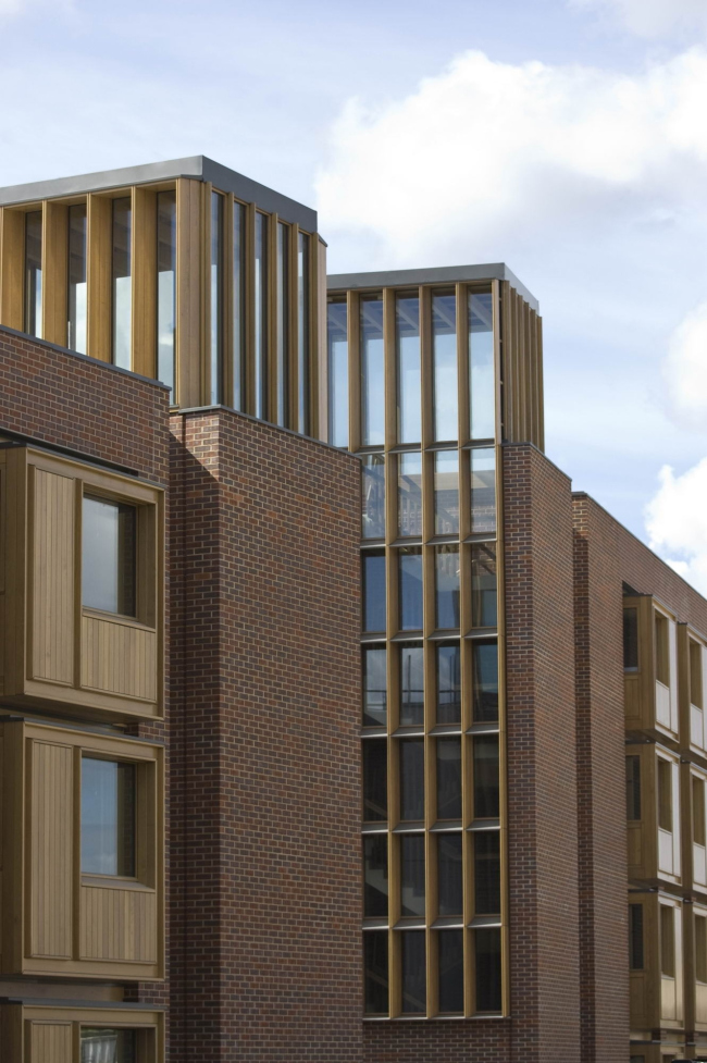 ��������� ���������-�������� � Niall McLaughlin Architects