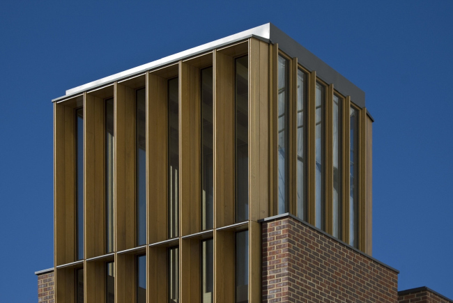 Общежитие Сомервилл-колледжа © Niall McLaughlin Architects