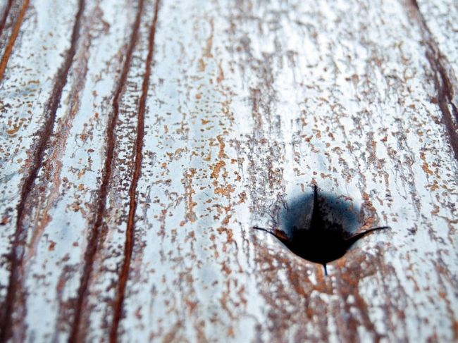 ����� � ����� ������ ��������