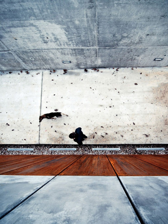 ����� � ����� ������ ��������