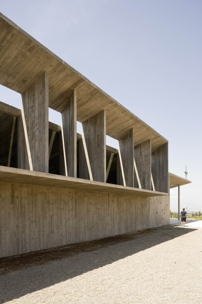 ������� �������-�������-��-��-������� � Pedro Pegenaute