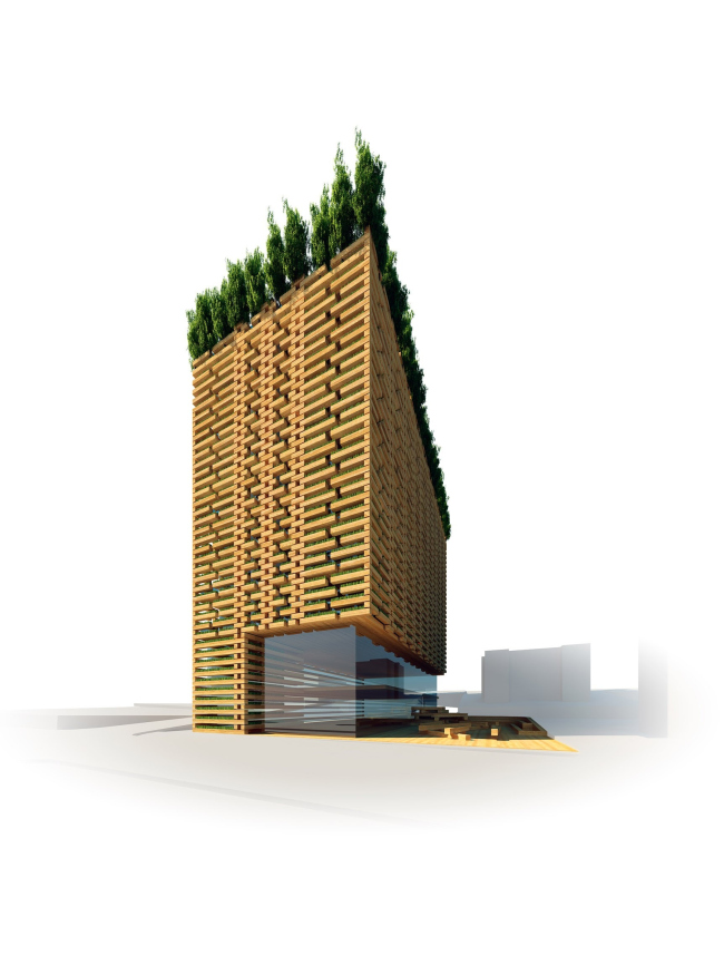 �����-����� ����. ���������� ������ � ������������� ���������� ������ ���������� 