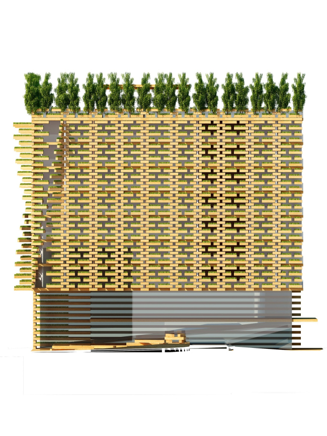 �����-����� ����. ���������� ������ � ������������� ���������� ������ ���������� 