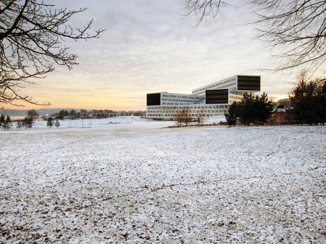 ����-�������� �������� Statoil � Luis Fonseca