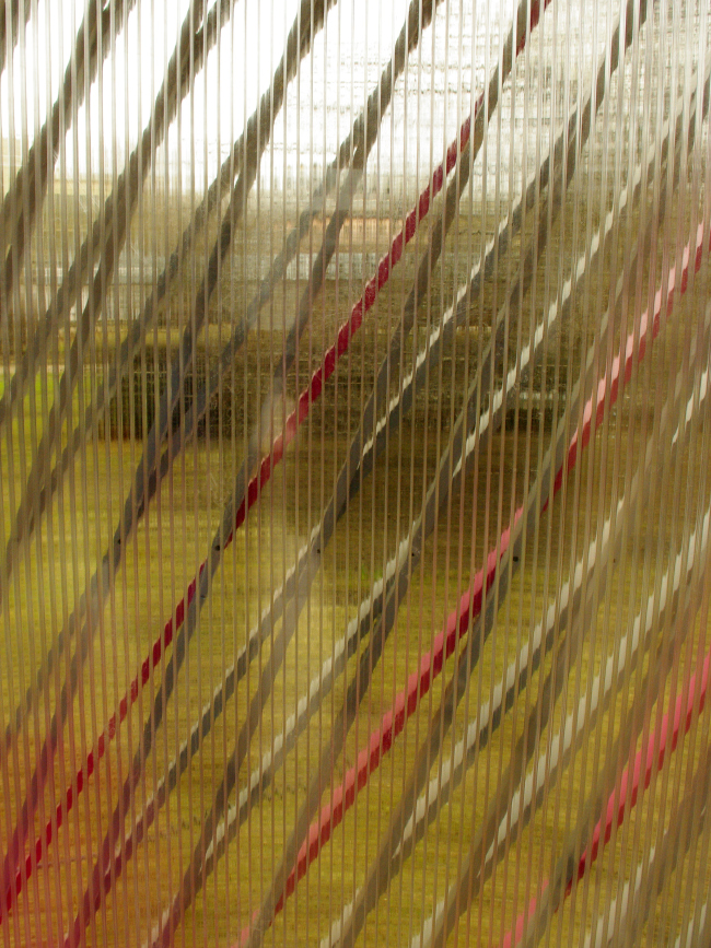 ���� ������. ������ �������� � ������� ���������. ���������� ���� ����������