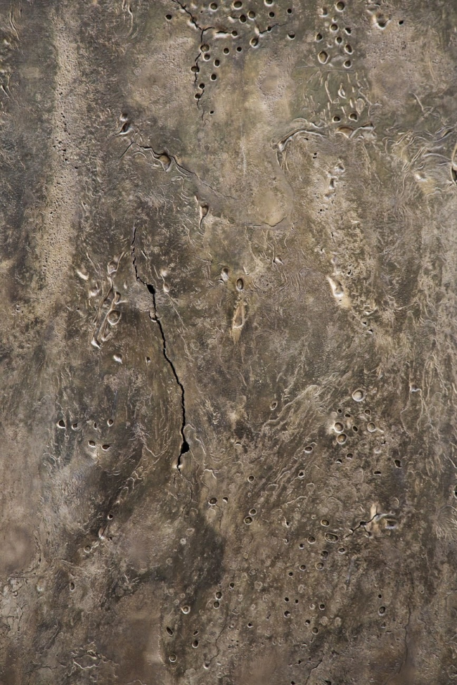 ������ ������ ����� ��������� ��������� � Chiara Marinai