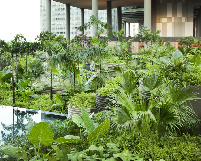 ����� Parkroyal on Pickering. ���������� � Patrick Bingham-Hall