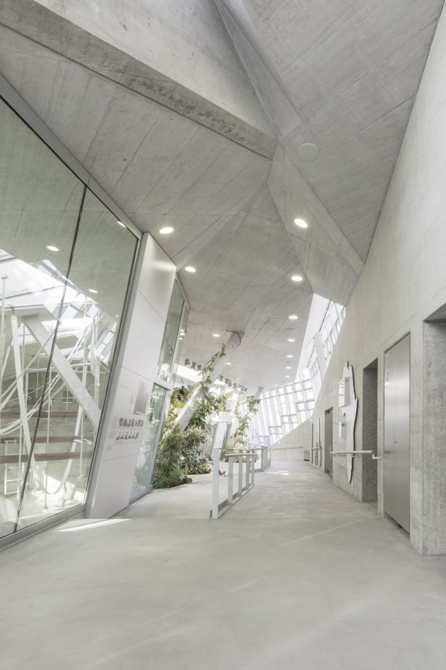 ���������� �������� ����������� � Brigida González