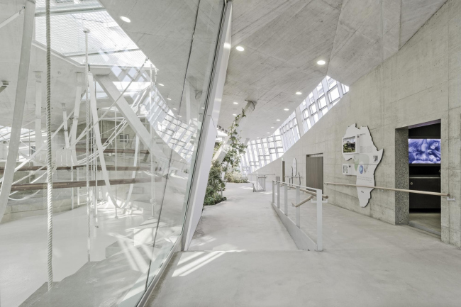 ���������� �������� ����������� � Brigida González