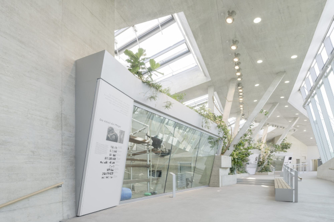 ���������� �������� ����������� � Brigida González