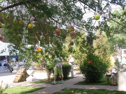 ���������� ���� ��� ��� � �������