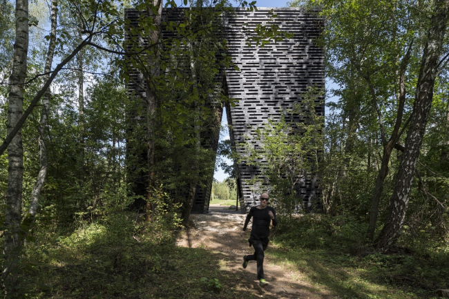  : .  :  ,  ,   (BERNASKONI,  ). : archiwood.ru