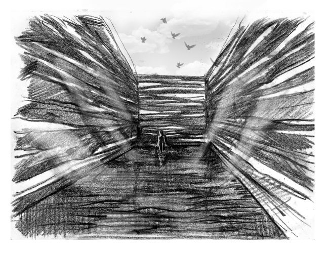 ���� ��-�������. ������ ���� ��������