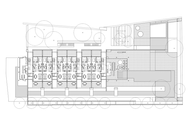 ����� �������� ������� ����