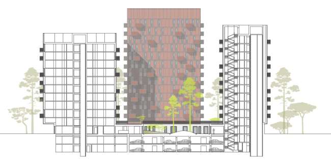 ������. ���������������� �����. ������ ������� ��������