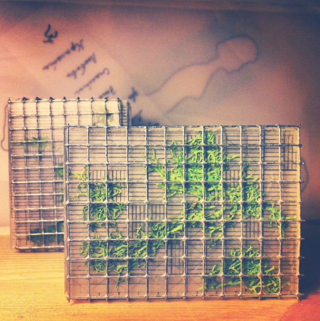 ���-�������. ������ ��� �������