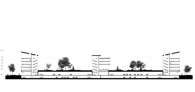 ������. �������� ��������� �����. ������ ����� ��������