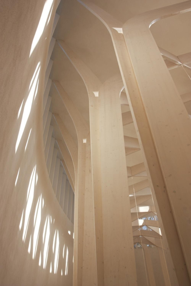 ������� �������� ������� ����� � Niall McLaughlin Architects