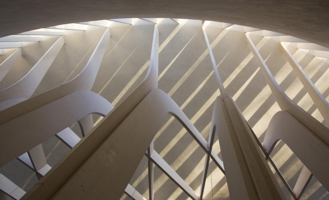 ������� �������� ������� ����� � Niall McLaughlin Architects