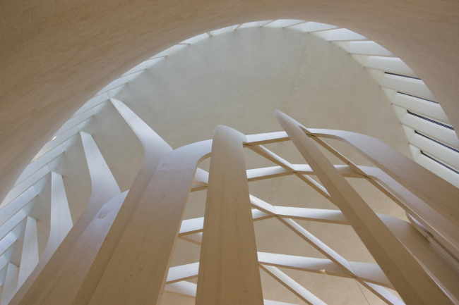 ������� �������� ������� ����� � Niall McLaughlin Architects