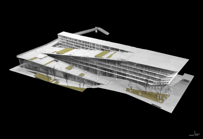 ������ ��������� SUPSI . � Kengo Kuma & Associates