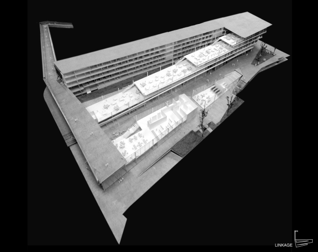 ������ ��������� SUPSI . � Kengo Kuma & Associates