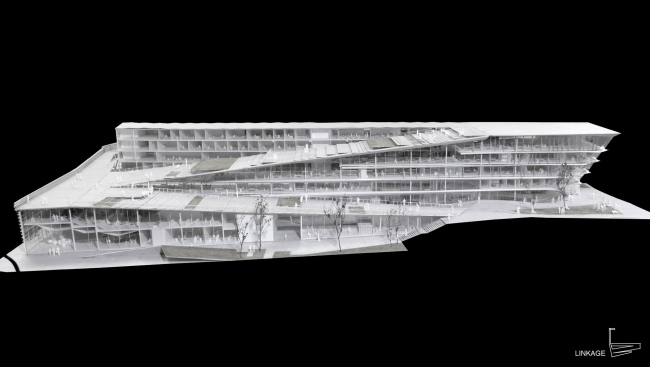 ������ ��������� SUPSI . � Kengo Kuma & Associates