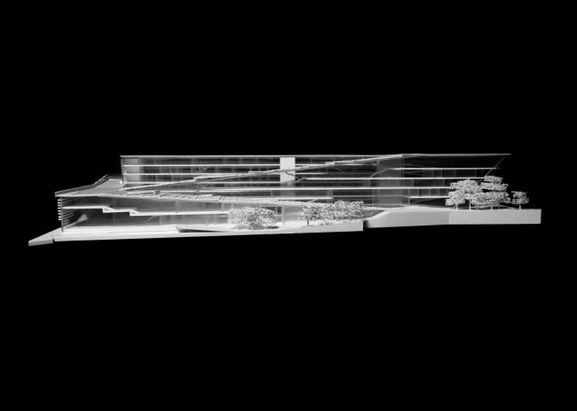 ������ ��������� SUPSI . � Kengo Kuma & Associates