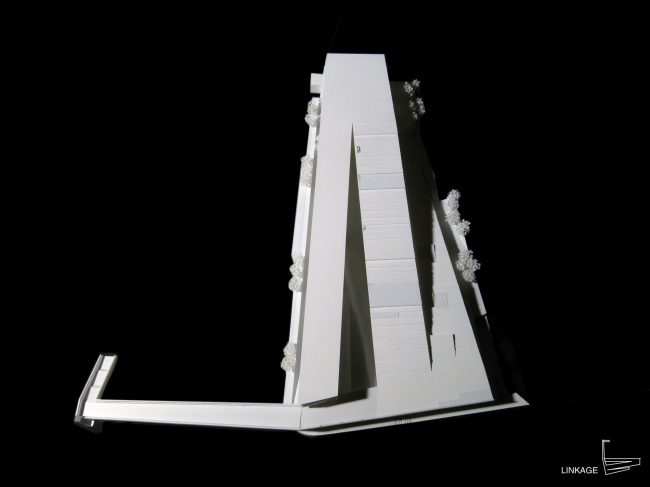 ������ ��������� SUPSI . � Kengo Kuma & Associates