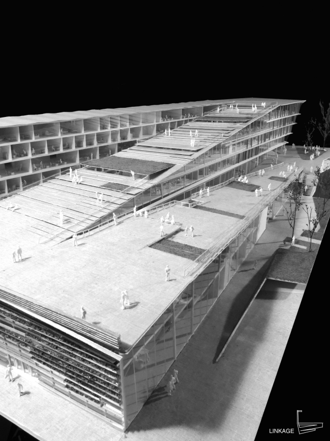 ������ ��������� SUPSI . � Kengo Kuma & Associates
