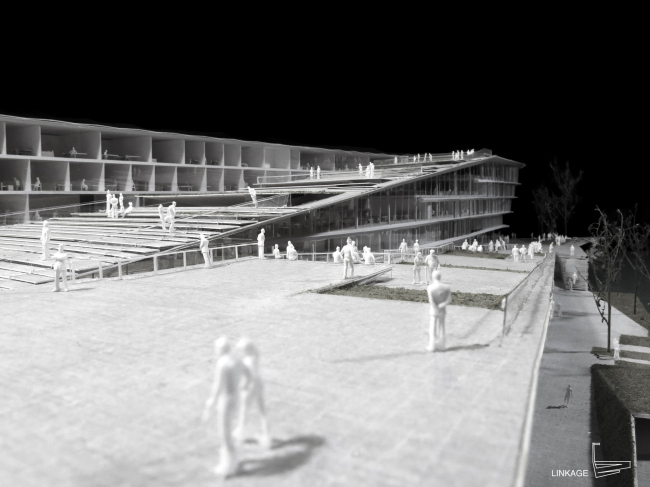 ������ ��������� SUPSI . � Kengo Kuma & Associates