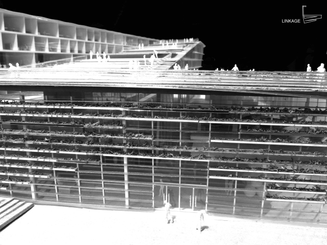 ������ ��������� SUPSI . � Kengo Kuma & Associates