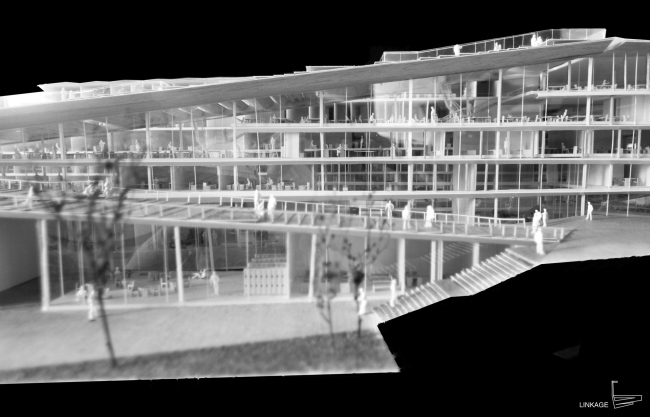 ������ ��������� SUPSI . � Kengo Kuma & Associates