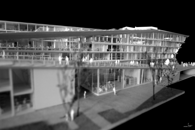 ������ ��������� SUPSI . � Kengo Kuma & Associates