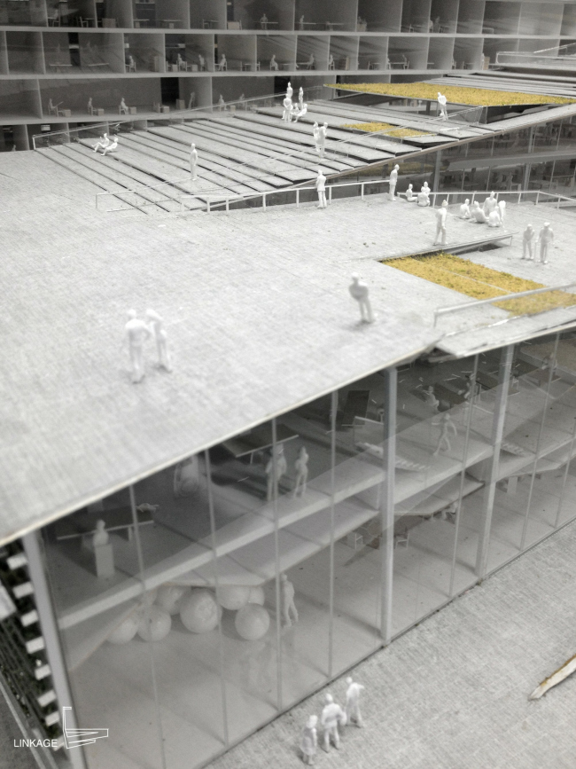 ������ ��������� SUPSI . � Kengo Kuma & Associates