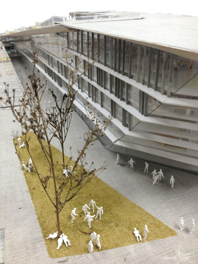 ������ ��������� SUPSI . � Kengo Kuma & Associates