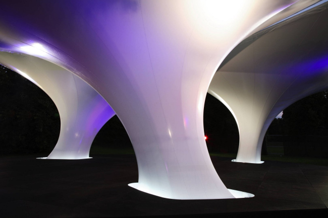 ��������-����������� ������� ���������� � Luke Hayes