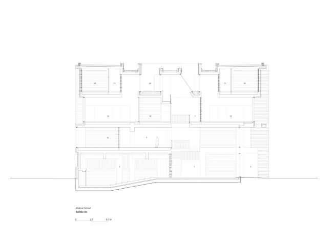      Grafton Architects