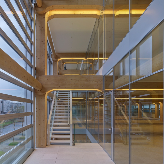 ����-�������� �����-�������� Tamedia