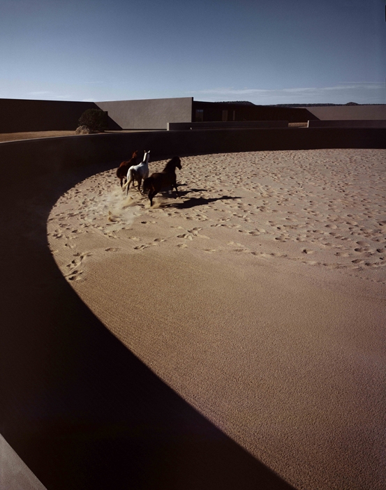 ����� ���� �����