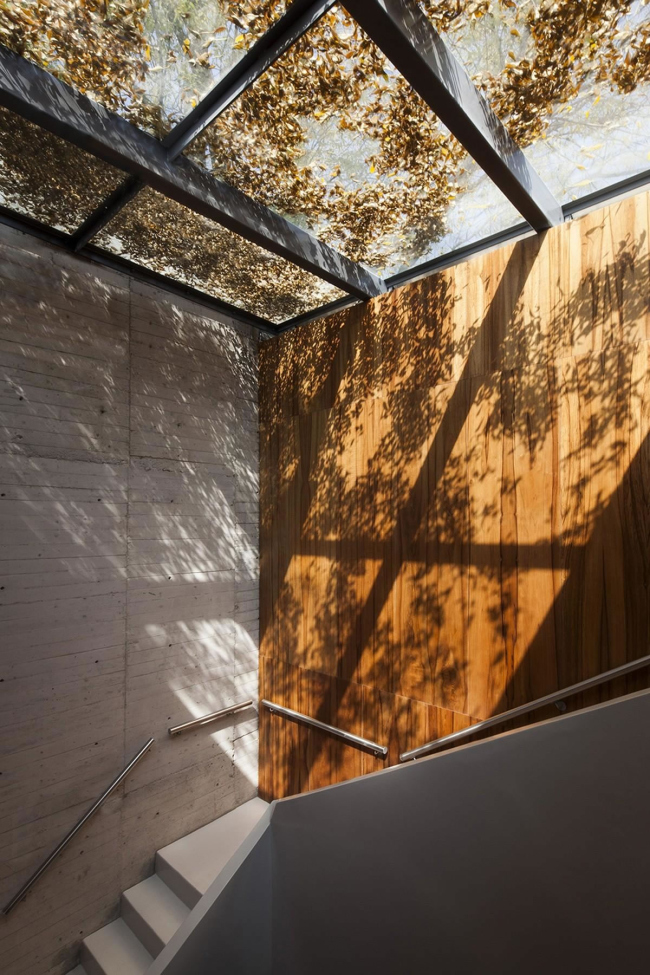 ���������� ����� ����� ����� � Sandra Pereznieto